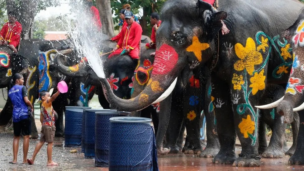 Songkran water games with friendly elephant